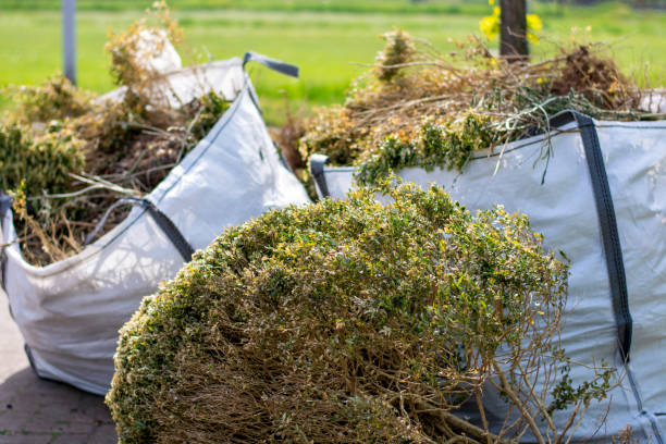 Best Property Management Cleanouts  in Mission, KS